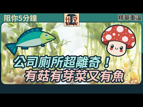 【精華重溫】 #阻你5分鐘 EP 1  🍄公司廁所有菇有芽菜又有魚？奴工處女職員聽到舔舔脷？｜打工仔心聲｜職場攻略｜香港上班族怪談 #精華片段 #奴工處