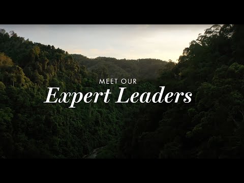 Meet Our Expert Leaders