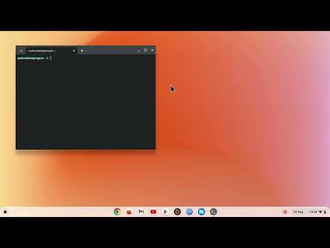 ChromeOS | Linux Development Environment | Update a single application in Flatpak