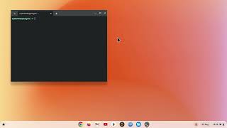 ChromeOS | Linux Development Environment | Update a single application in Flatpak