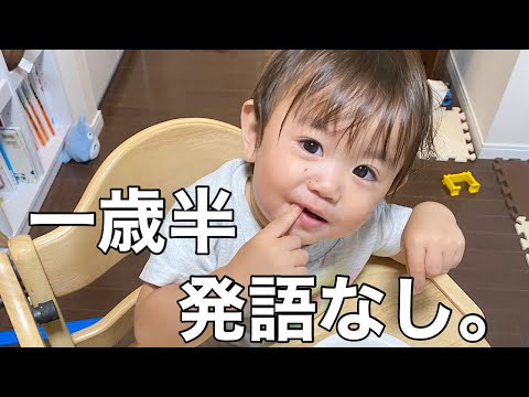 【密着】1歳半になっても喋らない次男の1日に密着。【宇宙語】