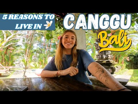 5 reasons to live in CANGGU, BALI | DIGITAL NOMADS PARADISE