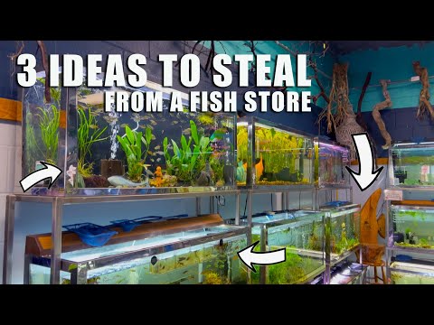 3 Things I MUST HAVE After Visiting This Fish Store! | Advance Aquarium Systems - Green Bay,WI