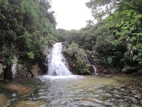 石垣島の滝