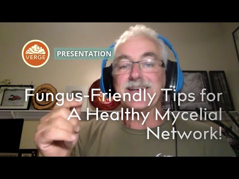 Spray Your Orchard with Fungicide & Save Your Mycelial Network Too!