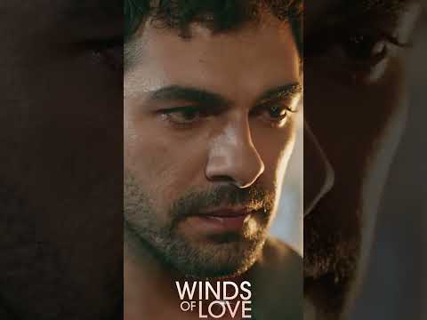 Kalbindeki gerçeği görmezden geliyorsun! | #windsoflove #shorts #ruzgarlitepe