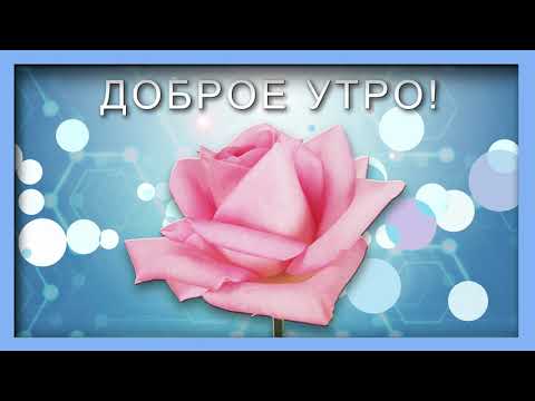 ✅Доброе утро ✅Чудесного дня✅