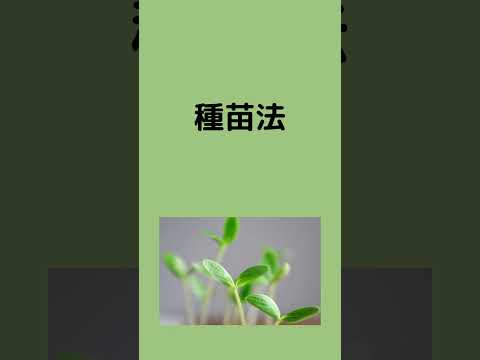 #法律 #条文読み上げ #法務 #種苗法