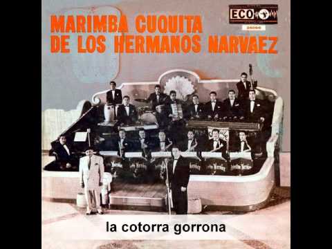 marimba cuquita de los hnos. narvaez - la cotorra gorrona