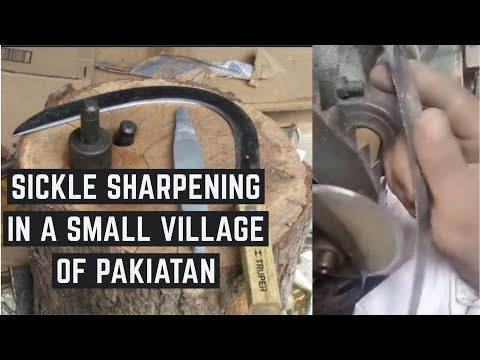 Witness the art of saw/sickle sharpening in Pakistan. ✂️ #SharpeningMastery #PakistaniCraftsmanship"