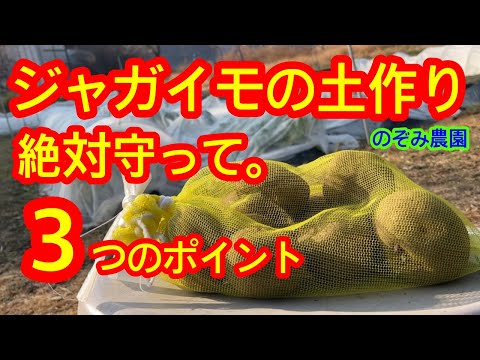 【ジャガイモ】土作りをするときに、守って欲しい大切な３つのポイント　酸度／連作／土の硬さなど