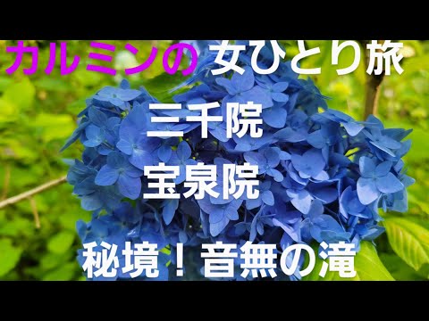 京都女ひとり旅三千院、宝泉院、秘境！音無の滝