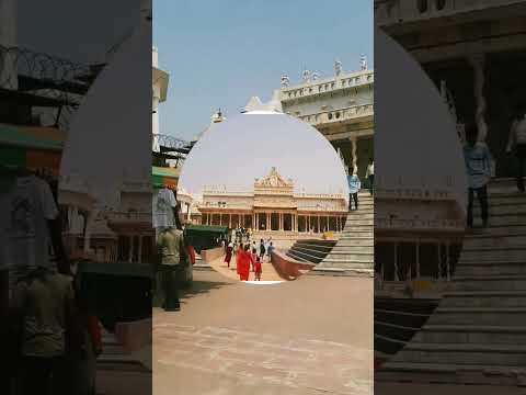 Shahji temple 🙏 #shorts #trending #india #vrindavan