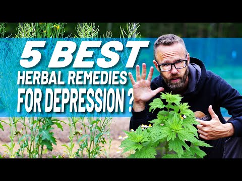 Herbal Remedies (Backed By Science) To Combat Depression