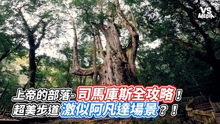 上帝的部落 司馬庫斯全攻略！超美步道激似阿凡達場景？！｜VS MEDIAｘ @mmantravel