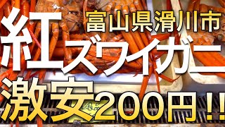 日本一安い⁉︎紅ズワイガニが200円で買える奇跡のスーパーを発見！！調査してきました。