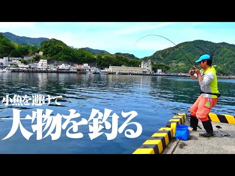 堤防際の大物狙いに最適な釣り方があると聞いて挑戦してみた結果…ルアータックルでも再現可能なお手軽釣りに行き着いた件。