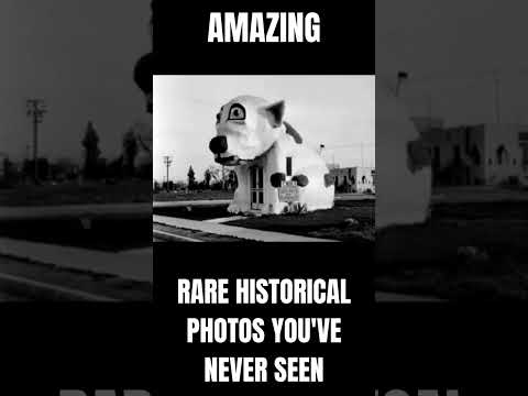 Rare and Unforgettable Historical Photos EP9 #shorts