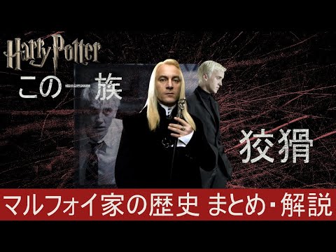 【ハリーポッター】マルフォイ家の歴史　まとめ・解説