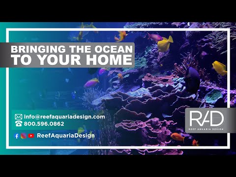 BRINGING THE OCEAN TO YOUR HOME