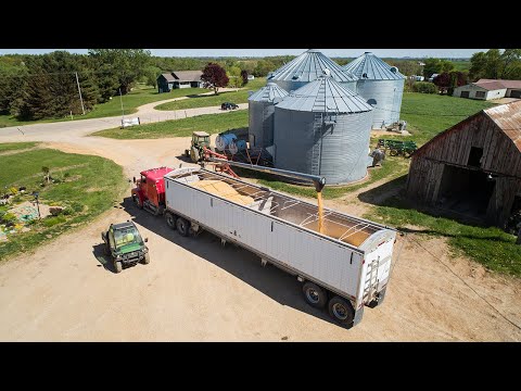 Flashbacks - Selling Old Crop Corn