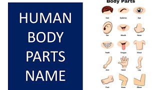 Human Body Parts Name for kids in English #kids #education