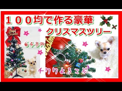 【第三弾】100均🎄チワワも喜ぶ648円で作る豪華🌟クリスマスツリー紹介~Making a gorgeous Christmas tree for Chihuahuas at 648 yen.