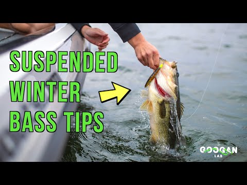 WINTER Bass FISHING TIPS! ( Catch More SUSPENDED FISH )