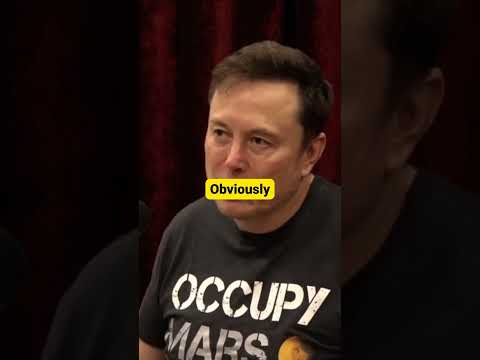 Joe Rogan and Elon Musk talk about doctors playing video games #elonmusk #joerogan #viral #shorts