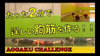 【2分で出来る！青学トレーニング💪】プッシュアップver①