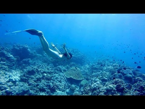 シュノーケリング@慶良間｜Freediving! Bikini Mermaid! October 2016, Kerama