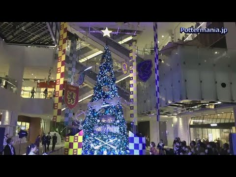 【MARK IS みなとみらい クリスマスツリー点灯式】