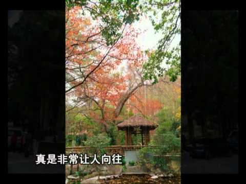 2010-12-26拍客