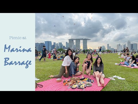 Picnic at Marina Barrage / Indoor picnic?