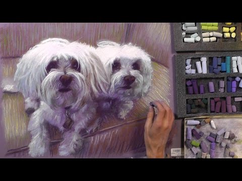 Two Dogs pet portrait in pastels : Speed Painting