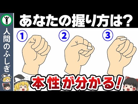 【ゆっくり解説】握るだけで分かるあなたの性格