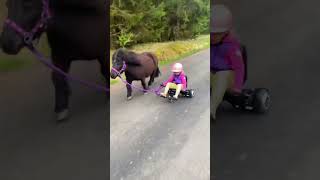 Ella and Black having fun as always 😁 #shorts #pony #horse