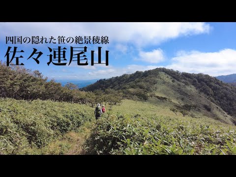 【登山】佐々連尾山 四国にはまだ素敵な笹の絶景稜線がありました。四国の隠れ名山を登ってきました。