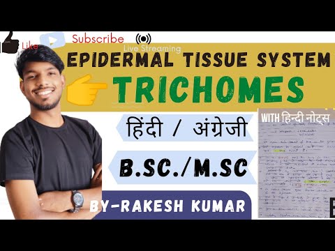 tissue system।epidermal tissue system। trichomes।trichomes in hindi (4th sem.) #msc #mscbotany