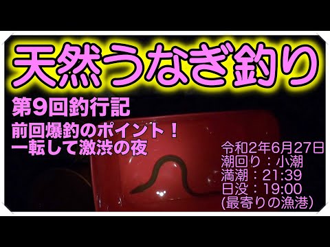 令和2年6月27日 うなぎ釣り (天然うなぎ)  第9回釣行記 ドバミミズ使用