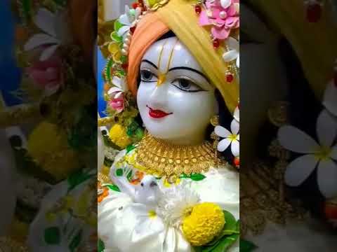 jai shree krishna#mere mohan#hindugod #youtubeshorts