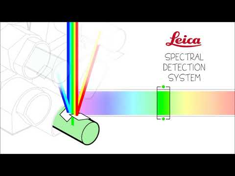 Leica Spectral detector VS Zeiss Detector array