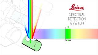 Leica Spectral detector VS Zeiss Detector array