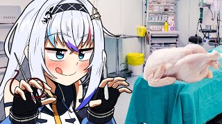 Veterinarian Vtuber loses their medical license [Kattarina Qutie | Idol]