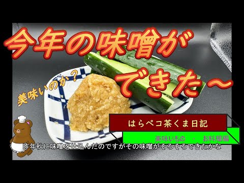 はらペコ茶くま日記　　手作り味噌ができたぞ～　閲覧注意あり（悲）