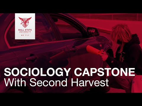 Sociology Capstone with Second Harvest