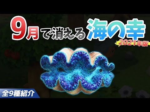 【あつ森】9月で消える海の幸を全て紹介！出現時間や影のサイズ・値段・捕まえ方のコツも徹底解説！オオシャコガイやカブト、クルマエビなどレアを効率よく捕る方法【あつまれどうぶつの森　9月海の幸図鑑コンプ】