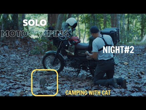 Solo MotoCamping / SoloRide / Camping with Cat / ASMR