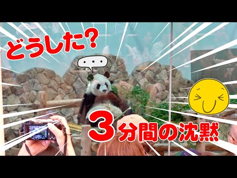 何があった!? パンダ彩浜🌈3分間に隠された秘密は？