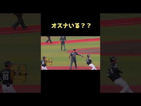 オスナいる？？【福岡ソフトバンクホークス】